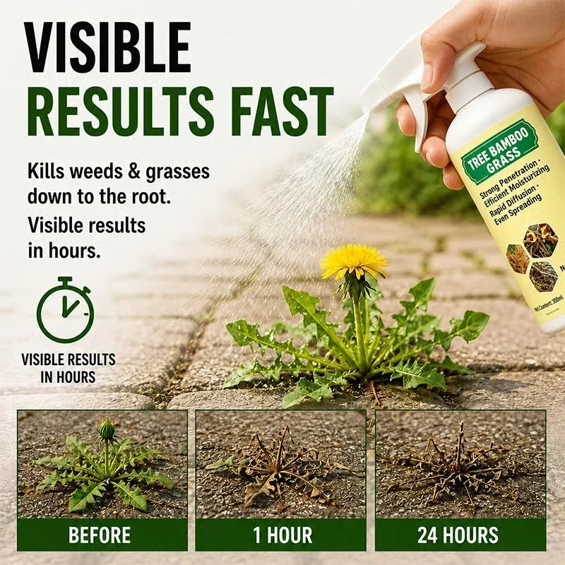 🔥🔥🔥2026 SALE - Fast-ActingNatural Weed & Grass KillerSpray
