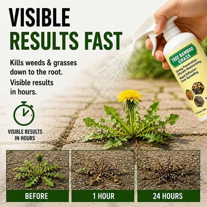 🔥🔥🔥2026 SALE - Fast-ActingNatural Weed & Grass KillerSpray