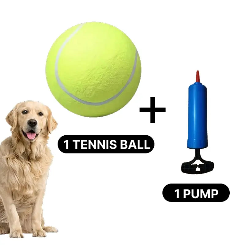 Tennis Ball with Pump