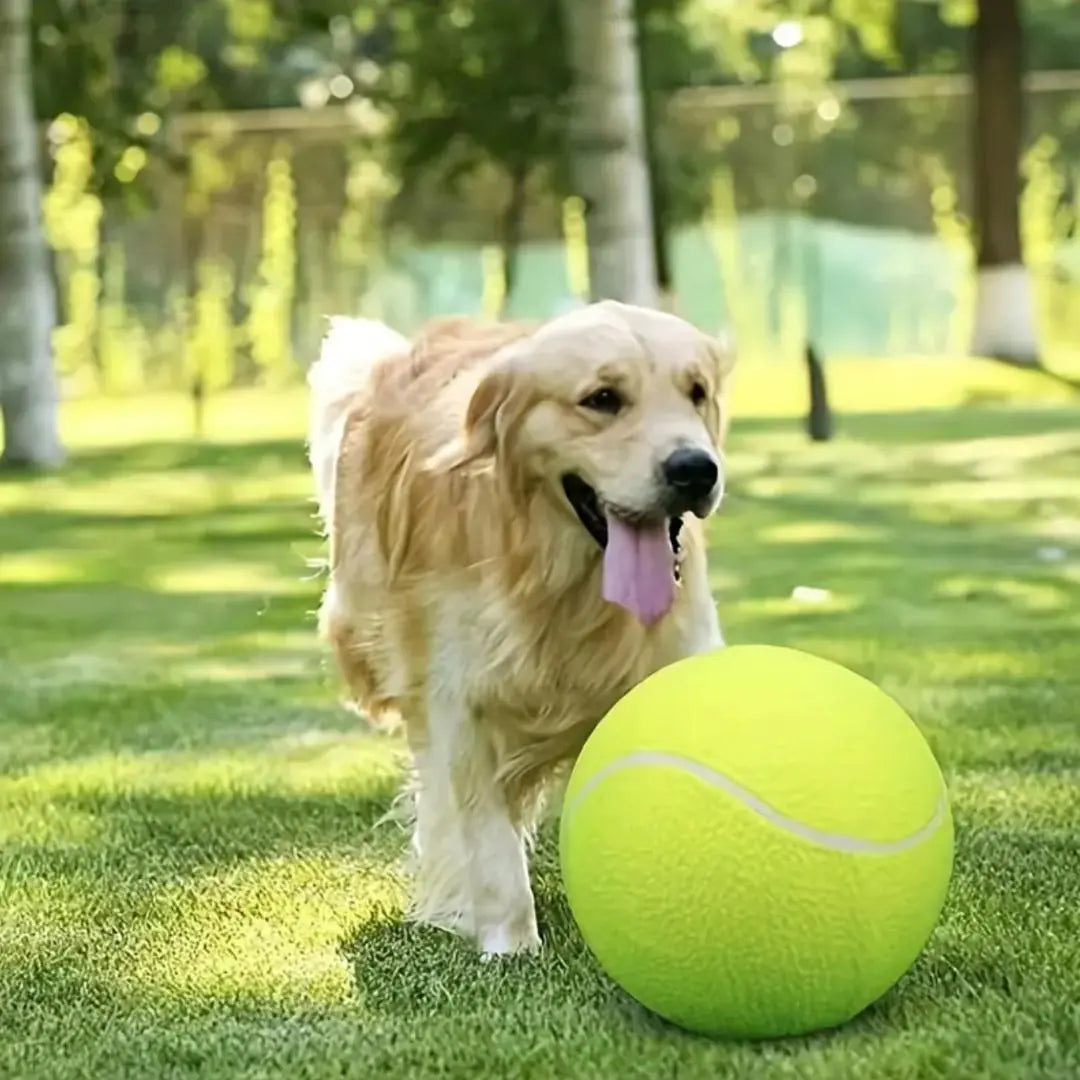 Northao™The Giant Fun Your Dog Can't Put Down | 9.5″ Oversized Tennis Ball Dog Toy – Stimulate Their Instinct to Chase & Beat Boredom
