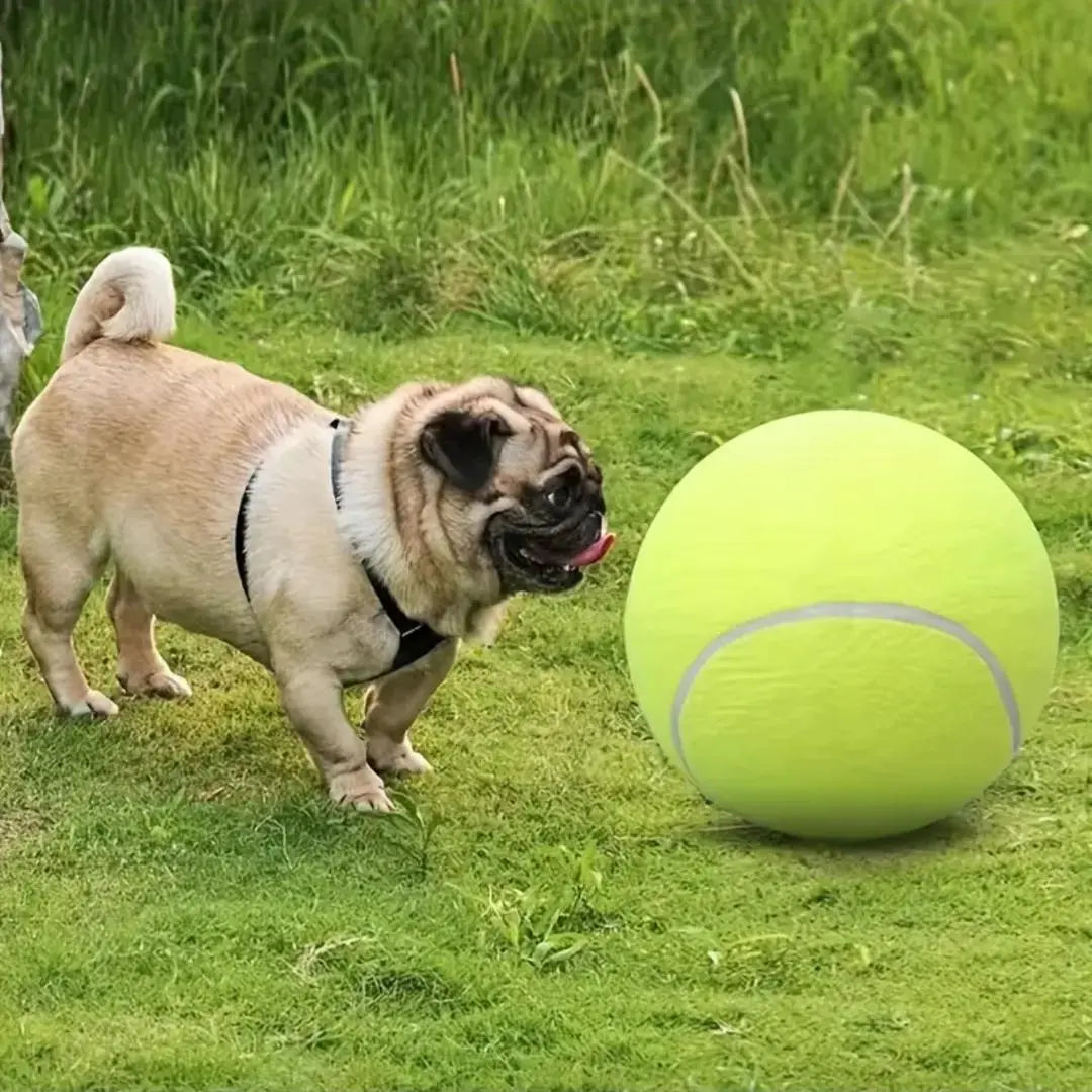 Northao™The Giant Fun Your Dog Can't Put Down | 9.5″ Oversized Tennis Ball Dog Toy – Stimulate Their Instinct to Chase & Beat Boredom